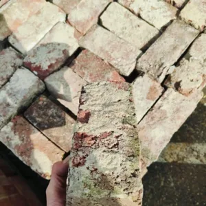 Baksteen (20 x 9 x 6)