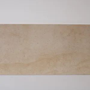 Lot 13 Tegels "REX homogeneous porcelain tile" 21,50m² (30 x 60 x 1)